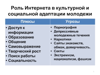 Роль Интернета в культурной и социальной адаптации молодежи