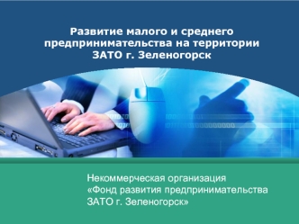 Развитие малого и среднего предпринимательства на территории ЗАТО г. Зеленогорск