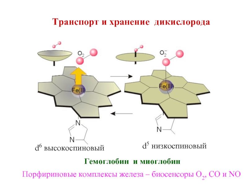 Комплексы железа. Низкоспиновые комплексы. Высокоспиновый комплекс. Парафириновые комплексы. Высокоспиновые и низкоспиновые комплексы примеры.