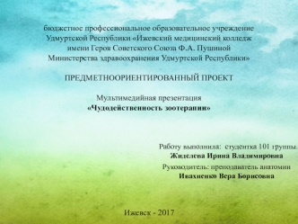 Чудодейственность зоотерапии