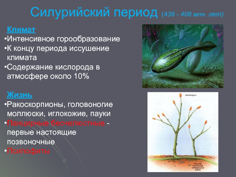 Силурийский период растения. Силурийский период. Горообразование в неогеновом периоде.