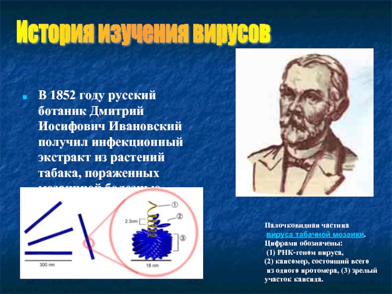 В 1852 году русский ботаник Дмитрий Иосифович Ивановский получил инфекционный экстракт
