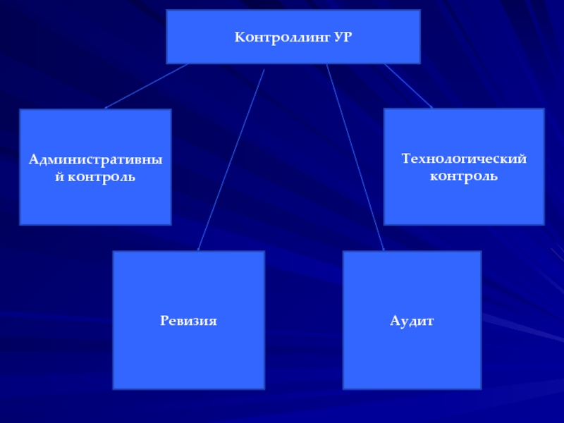 Территориальный контроль. Контроллинг 24. Контроллинг синонимы. Финансовая паутина в контроллинге. Аудит и ревизия это синонимы.