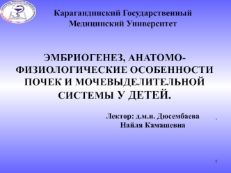 Эмбриогенез, анатомофизиологические особенности почек и мочевыделительной системы у детей