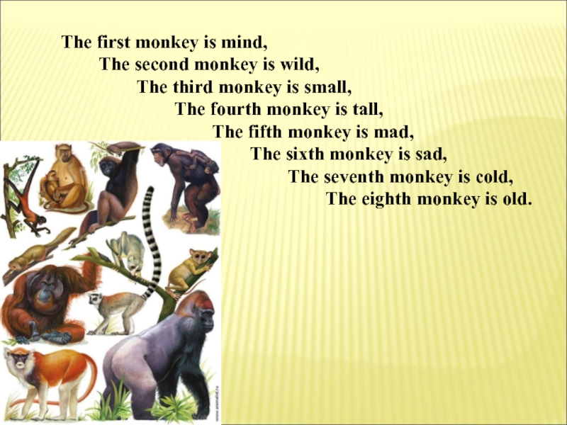 1 monkey 1 drill. Динозавры прилагательные урок по английскому. How many Monkeys the first.