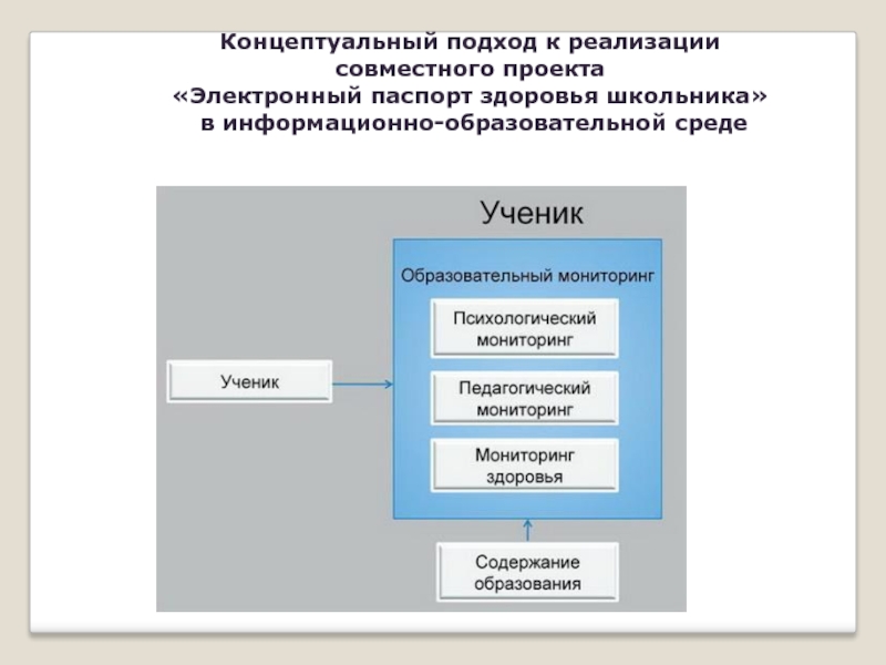 Концептуальный подход исследования. Подходы к реализации проекта. Концептуальный подход. Концептуальный подход в образовании. Концептуальный подход в исследовании.