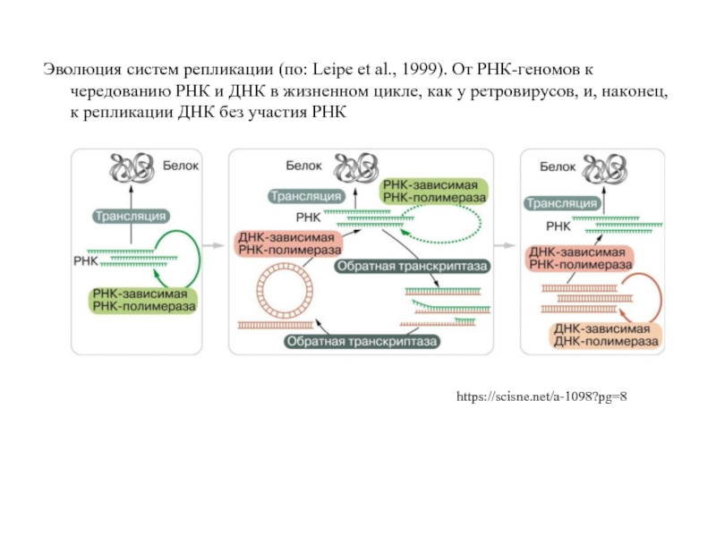 Рнк карта личный кабинет