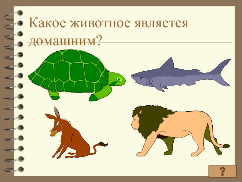 У какого животного 4. Какое животное является домашним. Какие животные являются домашними. Какое животное не является домашним. Какое животное не является зверем.