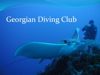 Georgian Diving Club