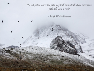 “Do not follow where the path may lead. Go instead where there is no path and leave a trail”

 – Ralph Waldo Emerson