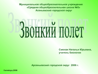 Звонкий полет