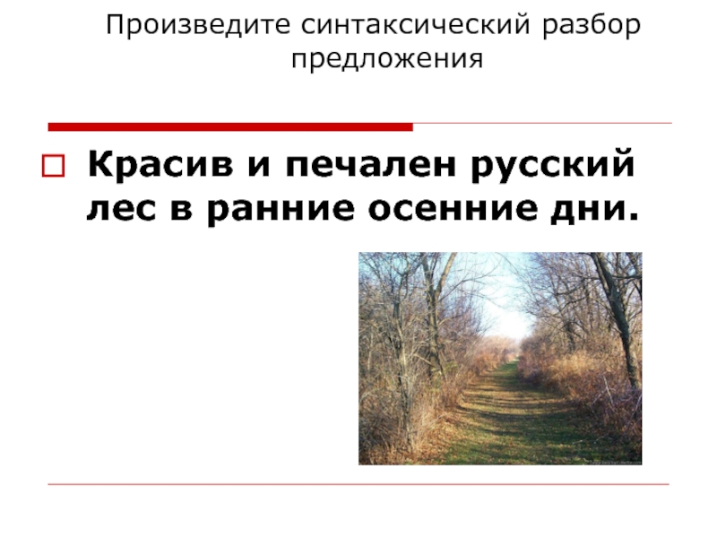 Лесной предложение. Красив и печален русский лес в ранние осенние дни. Синтаксический разбор предложения красив и печален русский лес. Красив русский лес в осенние дни синтаксический разбор. Синтаксический разбор предложения лес.