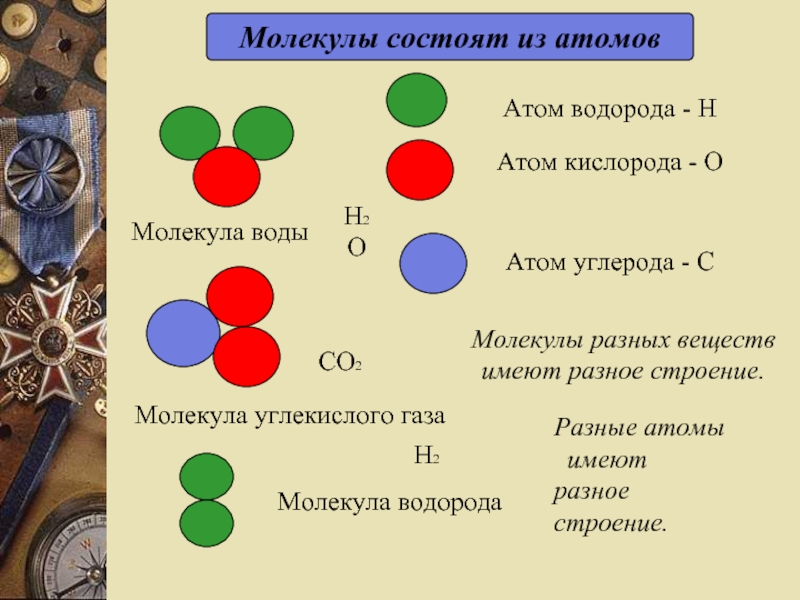 Какое строение имеет молекула