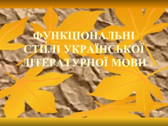 Функціональні стилі української літературної мови
