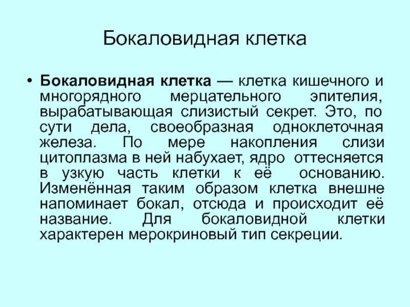 Бокаловидные клетки. Бокаловидные клетки функции. Характеристика бокаловидных клеток. Бокаловидные клетки кишечника. Функции бокаловидныеные клетки кишечника.