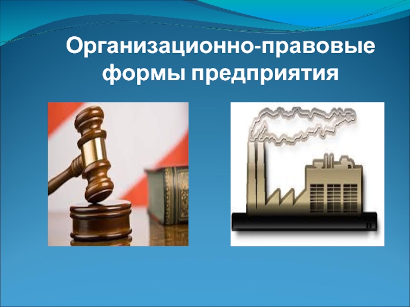 Реферат: Организационно-правовые формы предприятий