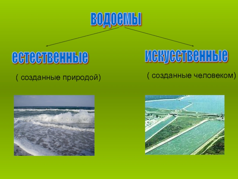 Презентация искусственные водоемы