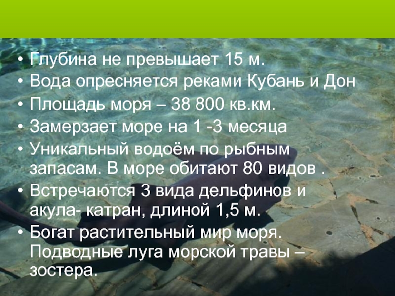 Водоемы кубани