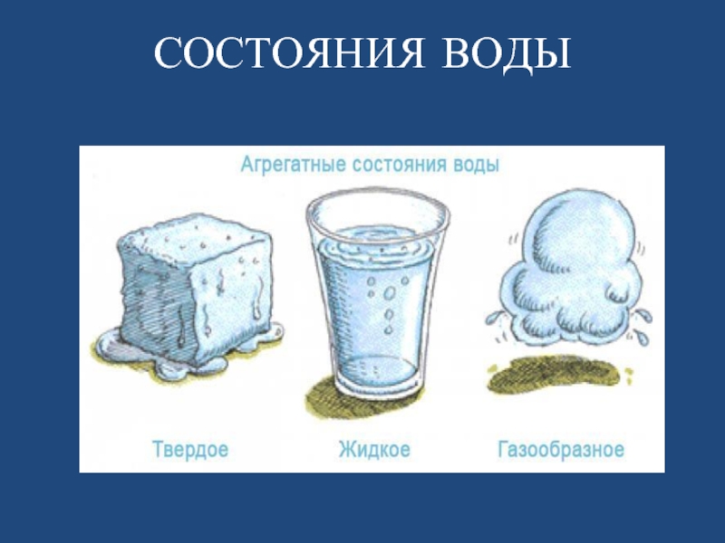 Рисунки детей на тему свойства