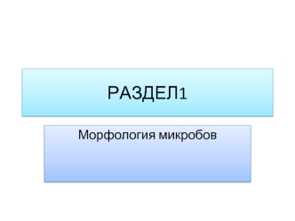 Морфология микробов