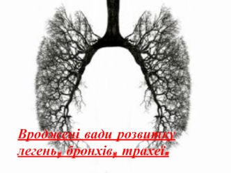 Вроджені вади розвитку легень, бронхів, трахеї
