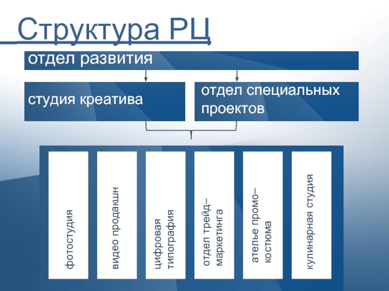 Департамент специальных проектов