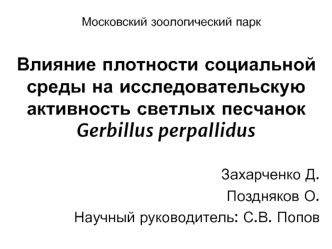 Влияние плотности социальной среды на исследовательскую активность светлых песчанок  Gerbillus perpallidus