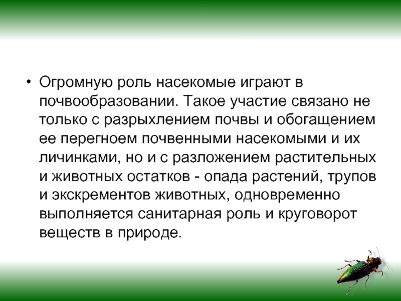 Функции насекомых. Роль животных в почвообразовании. Участие насекомых в почвообразовании. Роль насекомых в почве. Насекомые участвующие в почвообразовании.