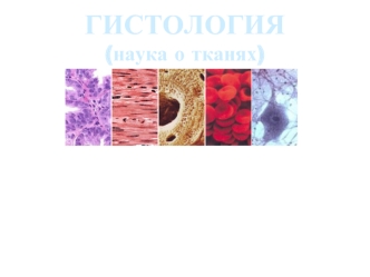 Гистология (наука о тканях)