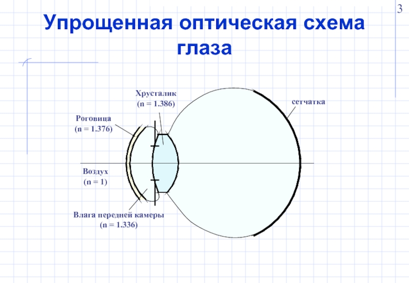 Хрусталик на схеме