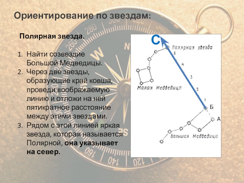 Укажите созвездие показанное на рисунке яркая звезда которого указывает направление севера