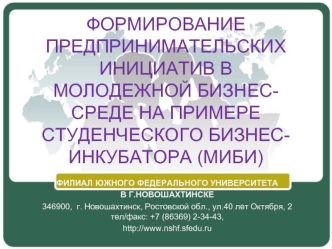 ФОРМИРОВАНИЕ ПРЕДПРИНИМАТЕЛЬСКИХ ИНИЦИАТИВ В МОЛОДЕЖНОЙ БИЗНЕС-СРЕДЕ НА ПРИМЕРЕ СТУДЕНЧЕСКОГО БИЗНЕС-ИНКУБАТОРА (МИБИ)