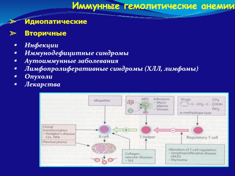 Иммунная анемия