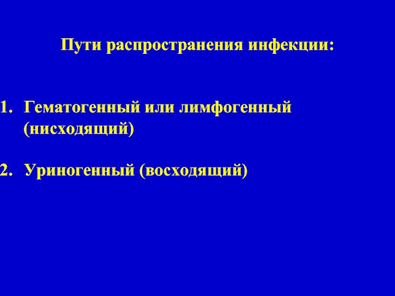 Лимфогенный гематогенный. Гематогенный путь распространения инфекции. Лимфогенный путь пиелонефрита. Гематогенный лимфогенный. Лимфогенный путь распространения инфекции.