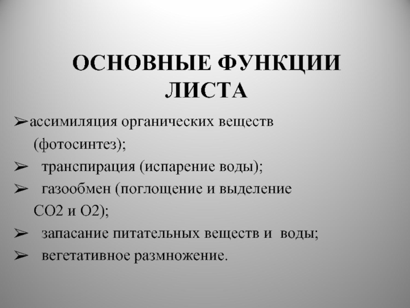 Роль листа. Функции листа. Главные функции листа. 3 Главные функции листа. Основная функция листа.