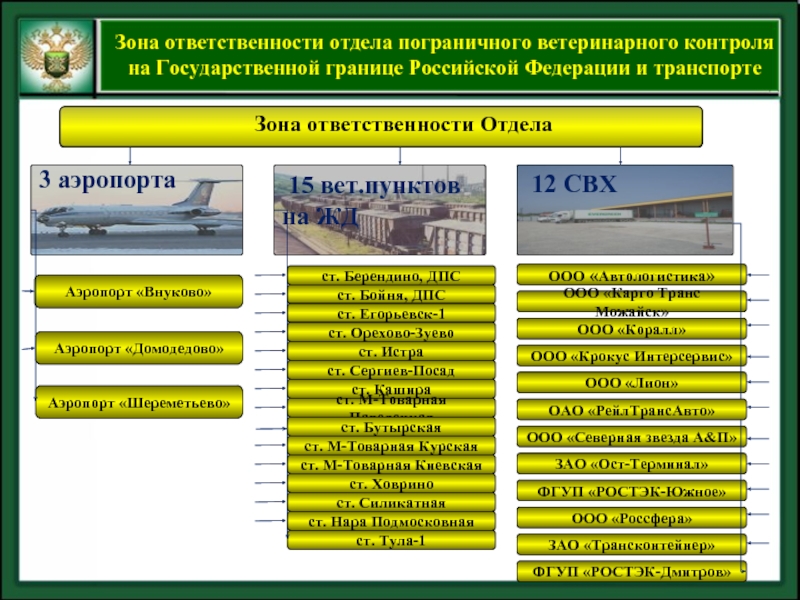 Отдел ветеринарного контроля. Ответственность в аэропорту. Пограничный контрольный ветеринарный пункт. Зоны ответственности пограничных управлений.