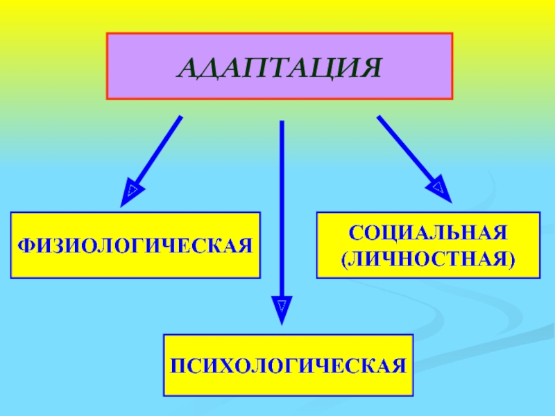 Адаптация в картинках