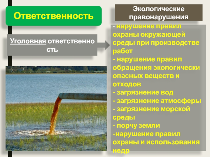 Уголовная ответственность за экологические правонарушения. Нарушение правил охраны окружающей среды при производстве работ. Уголовная ответственность за загрязнение морской среды. Уголовная ответственность за загрязнение атмосферы. Правовая охрана морской среды от загрязнения.