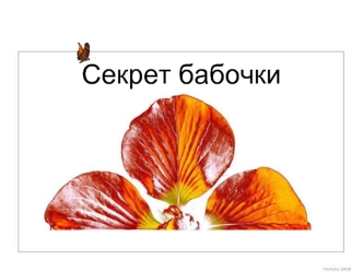 Секрет бабочки