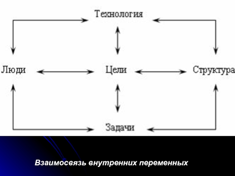 Взаимосвязь внутренней. Взаимосвязь внутренних переменных. Взаимосвязь внутренних переменных организации. Взаимосвязанность внутренних переменных. Взаимосвязь внутренних элементов организации.