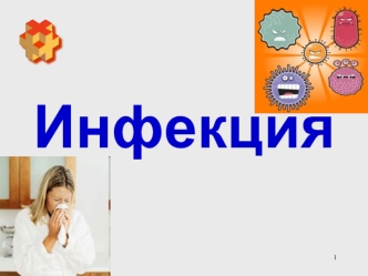 Инфекция. Типы взаимоотношений микро- и макроорганизма