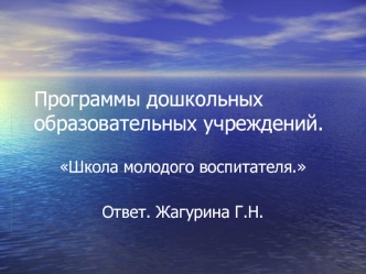 Программы дошкольных образовательных учреждений.