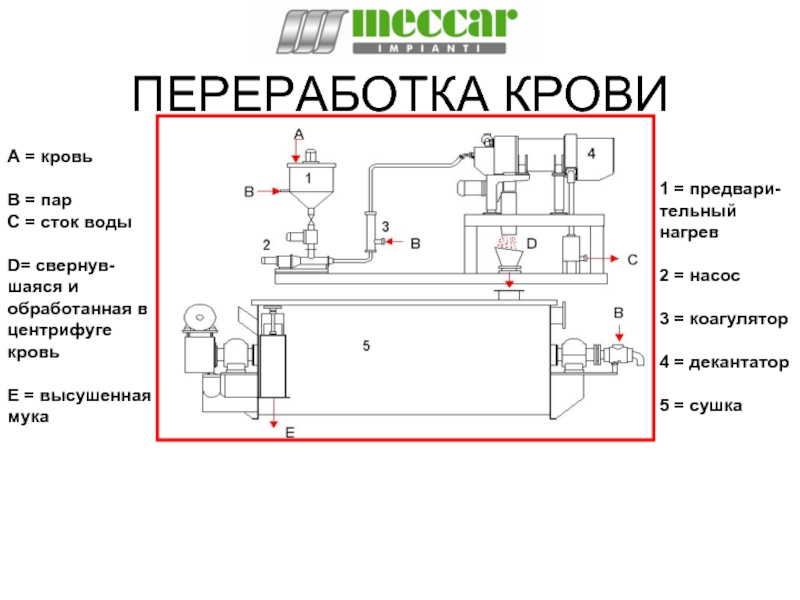 Схема переработки пищевой крови