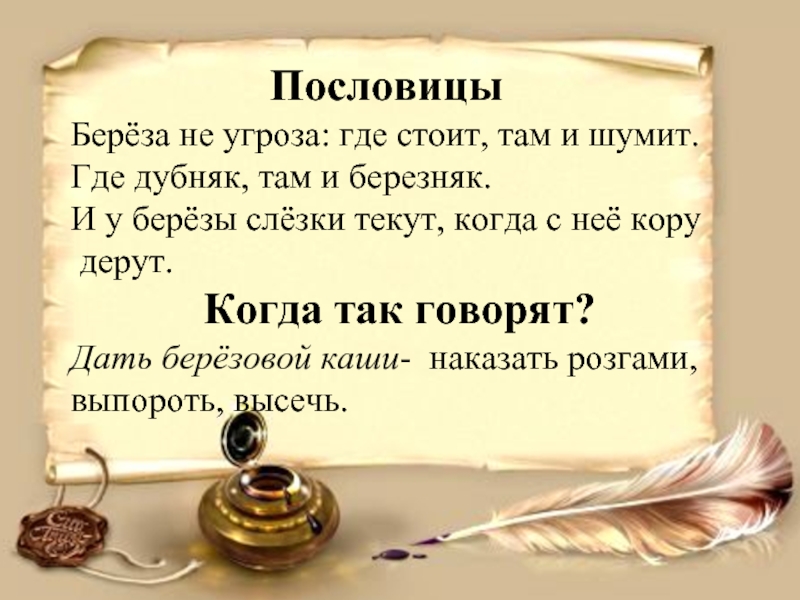 Там где шумит. Пословицы о Березе. Поговорки о Березе. Пословицы о Березе для 3 класса. Пословицы про березку.