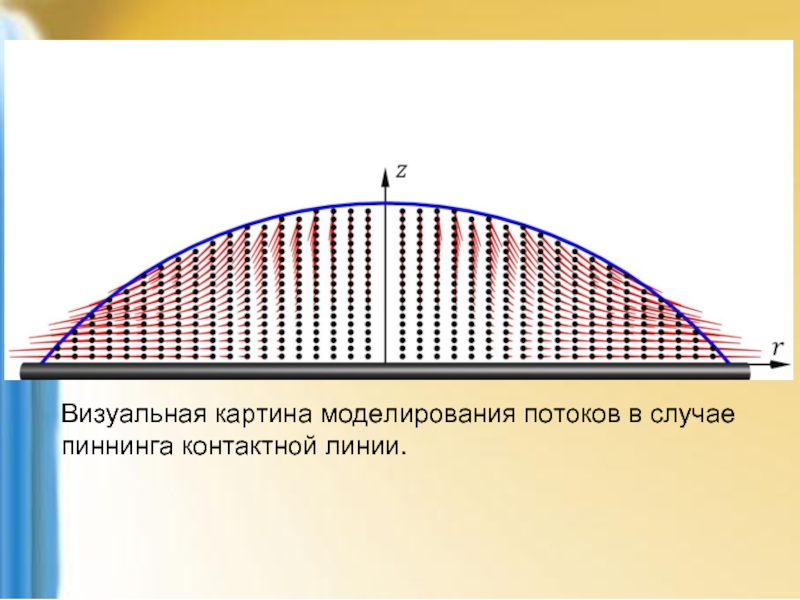 Моделирование потоков. Линии потоков. Моделирование потоков людей. Гидродинамическая теория бегущей волны. Эффект пиннинга.