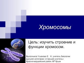 Хромосомы