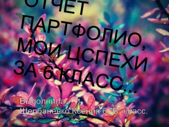 Отчёт-партфолио. Щербаненко Ксения