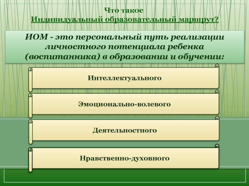 Индивидуальный образовательный маршрут по русскому языку