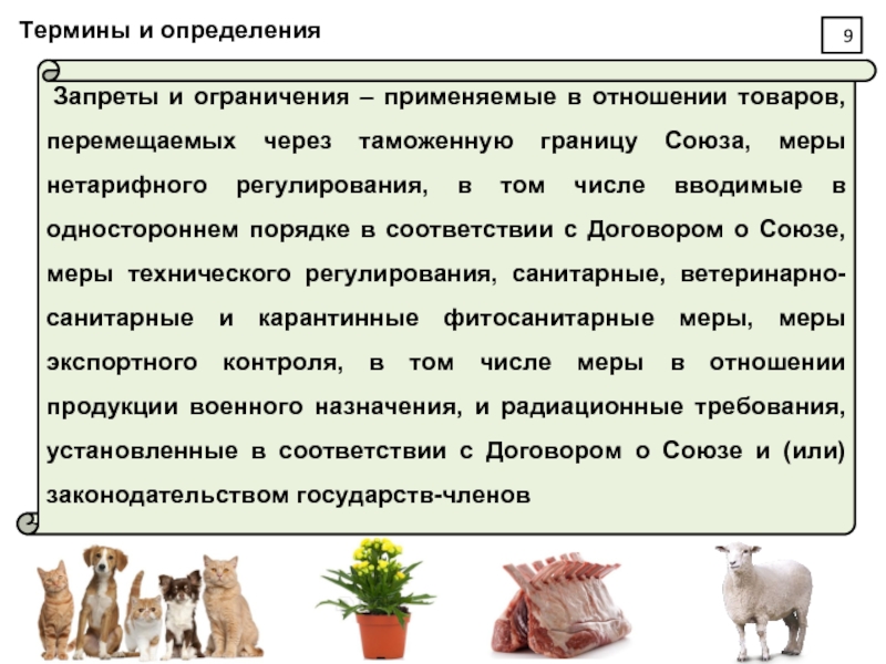 Основные положения о перемещении товаров. Запрет это определение.