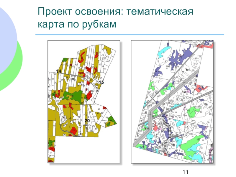 Проект освоения лесов пример